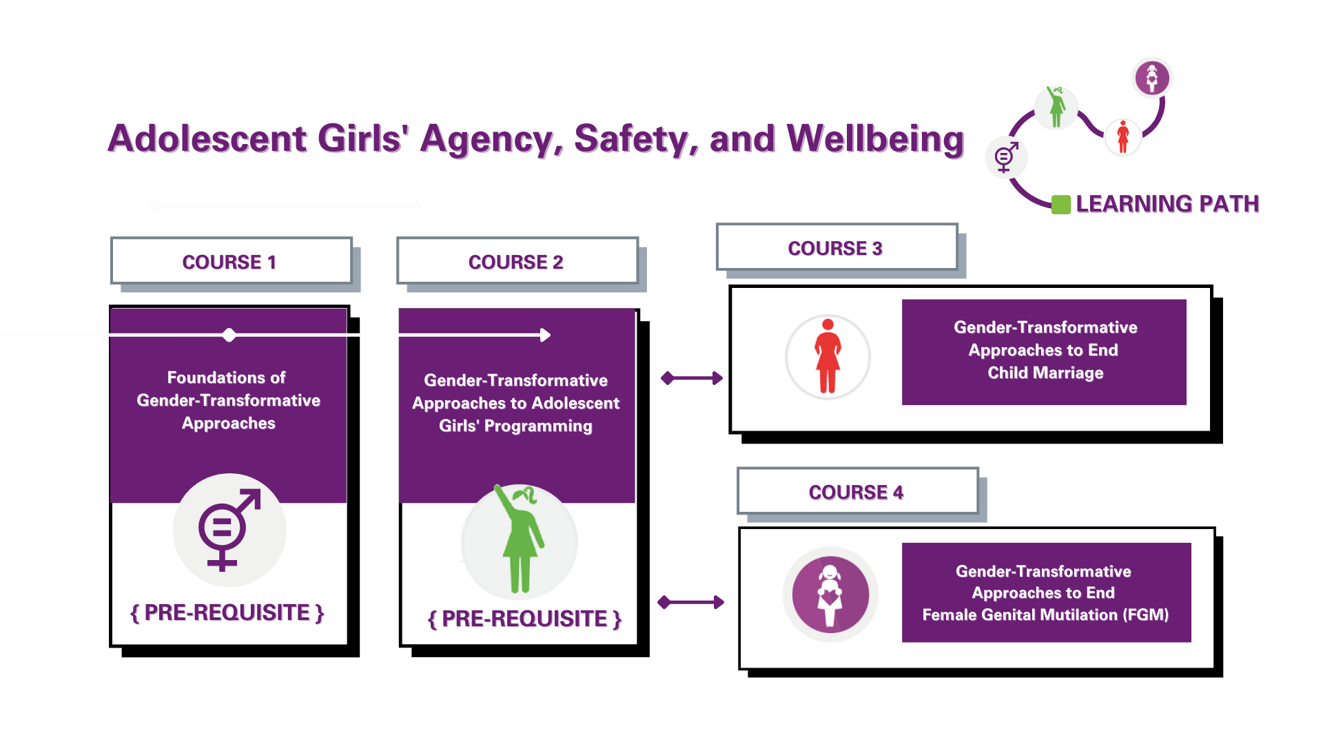 Summary Of Foundations Of Gender Transformative Approaches